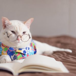 portrait-white-cat-wearing-glasses-reading-book